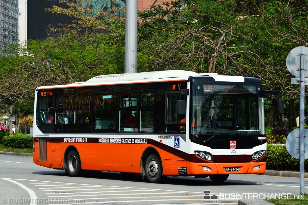 Wuzhoulong FDG6951 (MR-84-34)