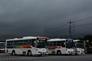 Buses Under Dark Sky