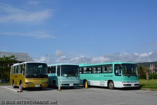 Midi School Buses