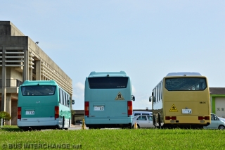 Midi School Buses