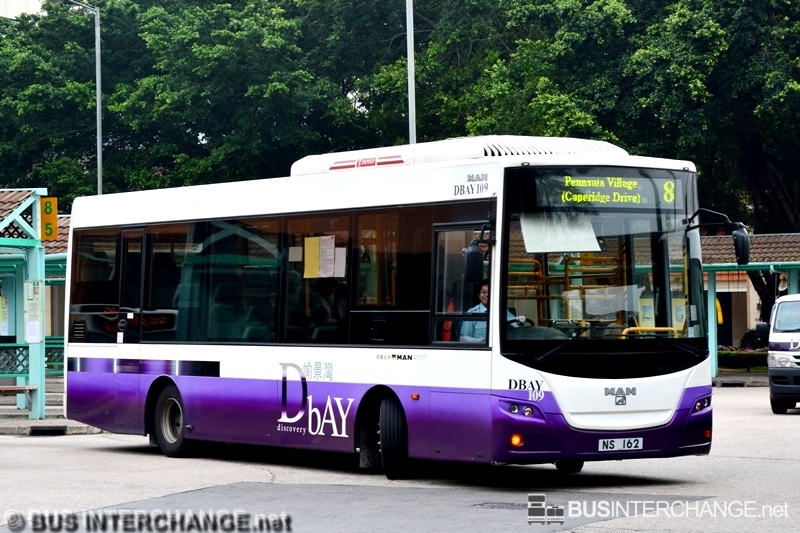 MAN 12.240 (DBAY109 / NS 162 on Route 8)