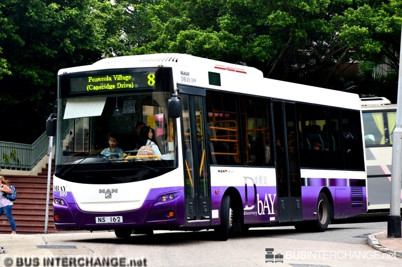 MAN 12.240 (DBAY109 / NS 162 on Route 8)
