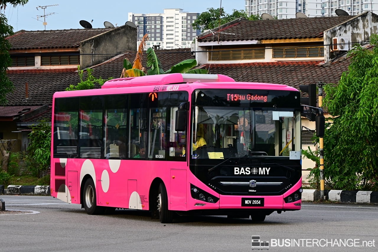 Zhongtong N8 (MDV2654 - T15)