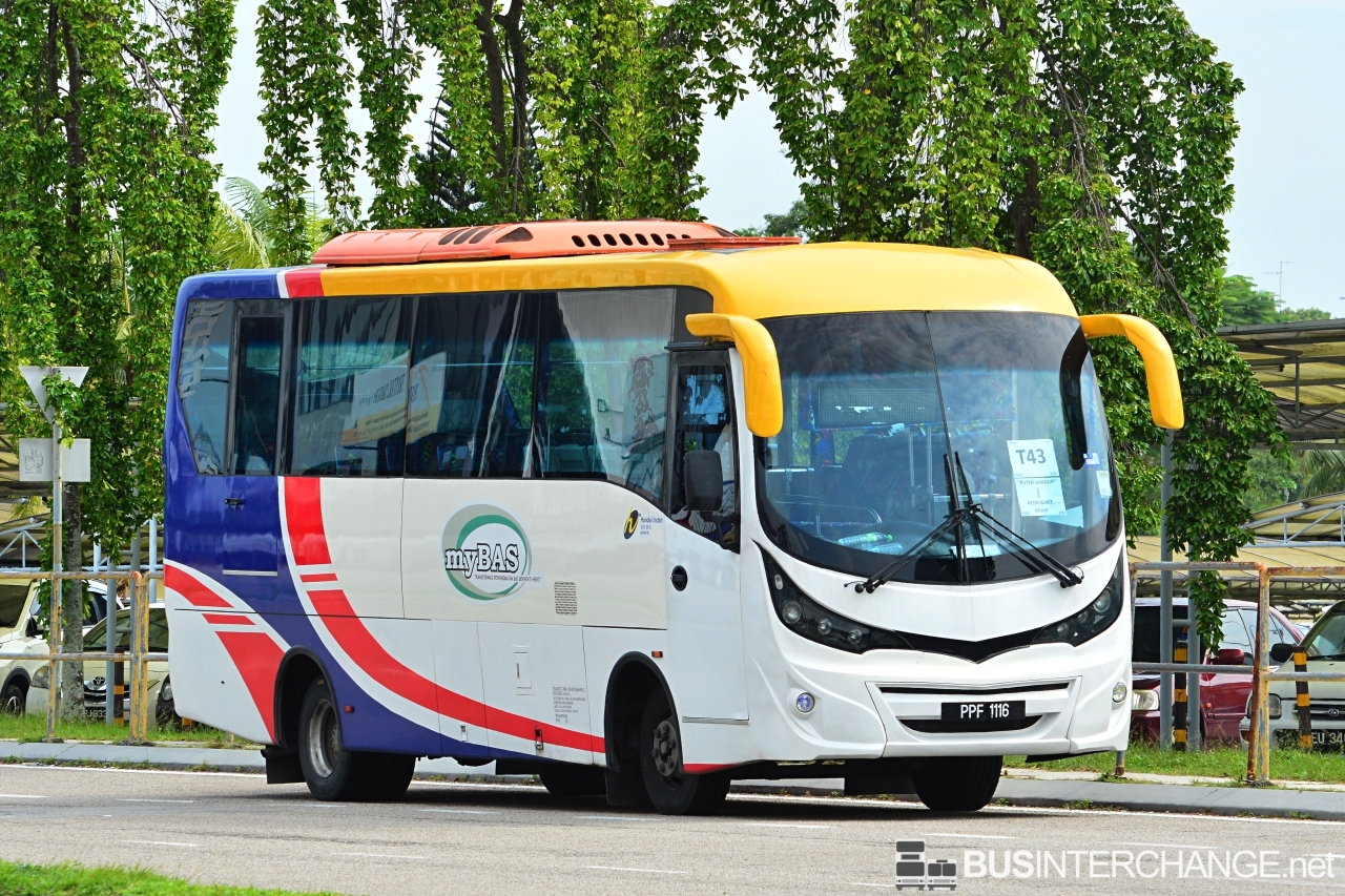 The Hino XZU720R with Pioneer Coachbuilders bodywork (PPF1116) is seen on myBAS Route T43 operated by Causeway Link.