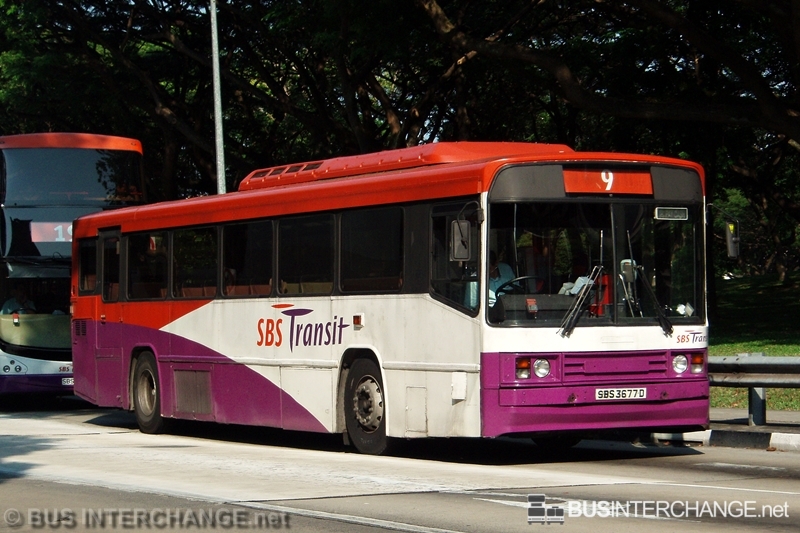 Scania N113CRB (SBS3677D)