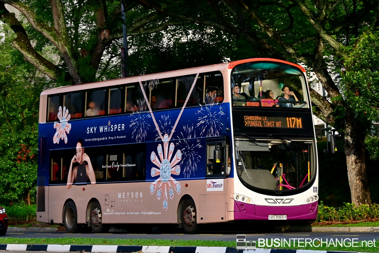 Volvo B9TL (SBS3965Y - 117M)