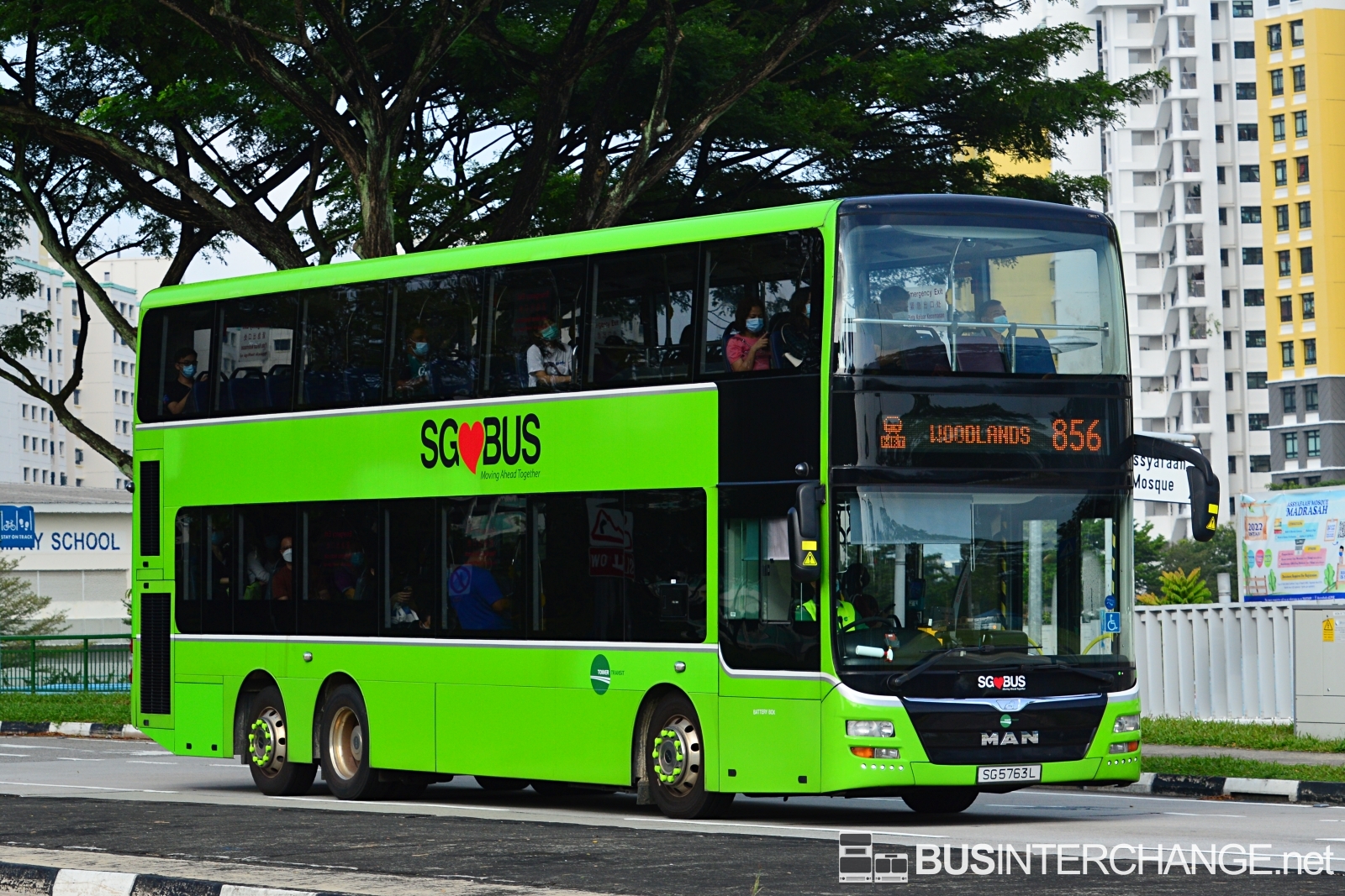 MAN A95 (SG5763L - 856)