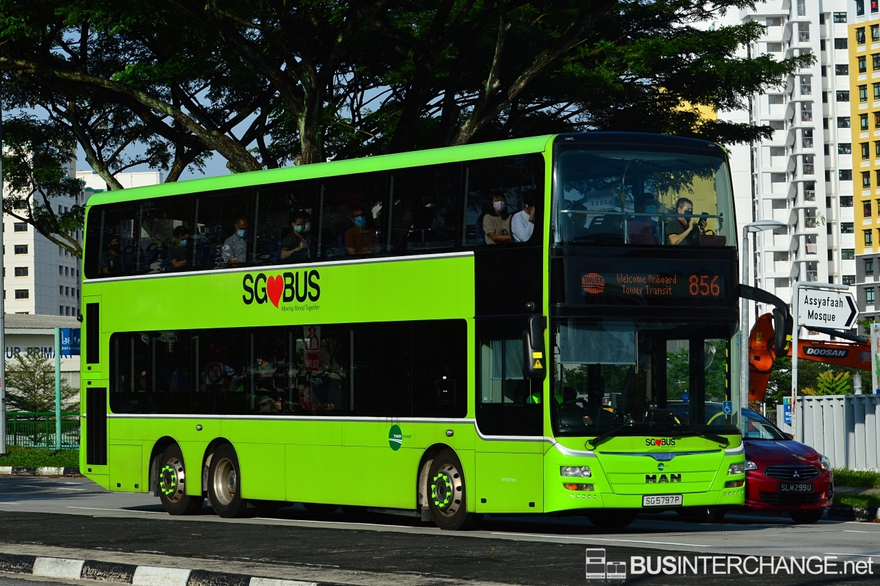 MAN A95 (SG5797P - 856)