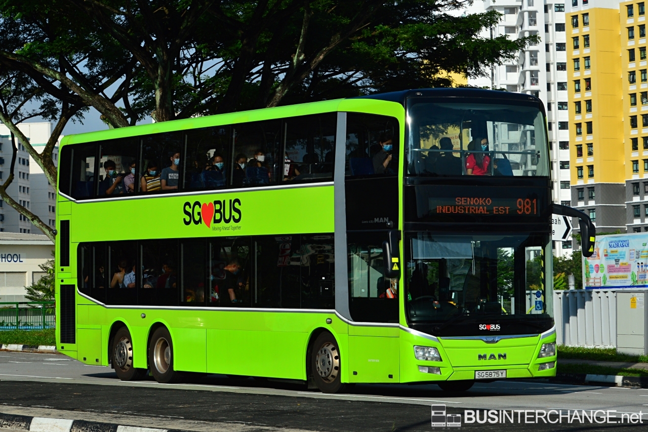 MAN ND323F (A95) (SG5875Y - 981)