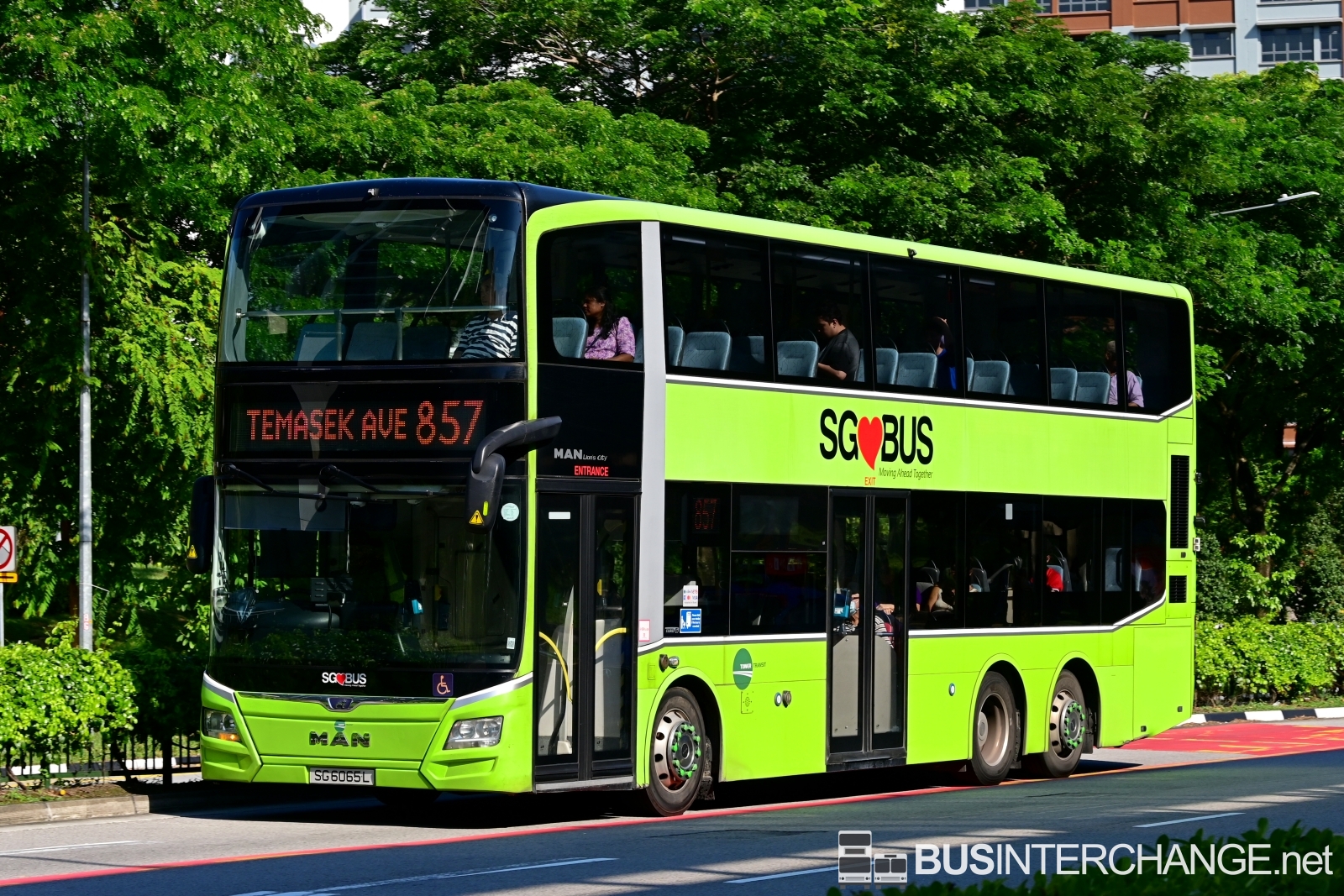 MAN A95 (SG6065L - 857)