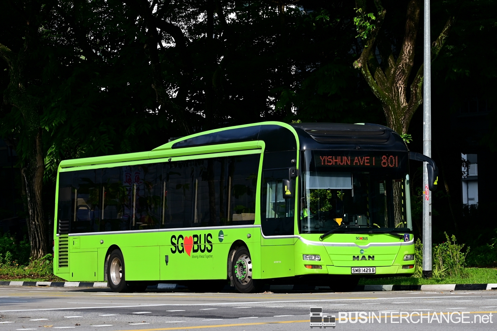 MAN NL323F (A22) (SMB1429B - 801)