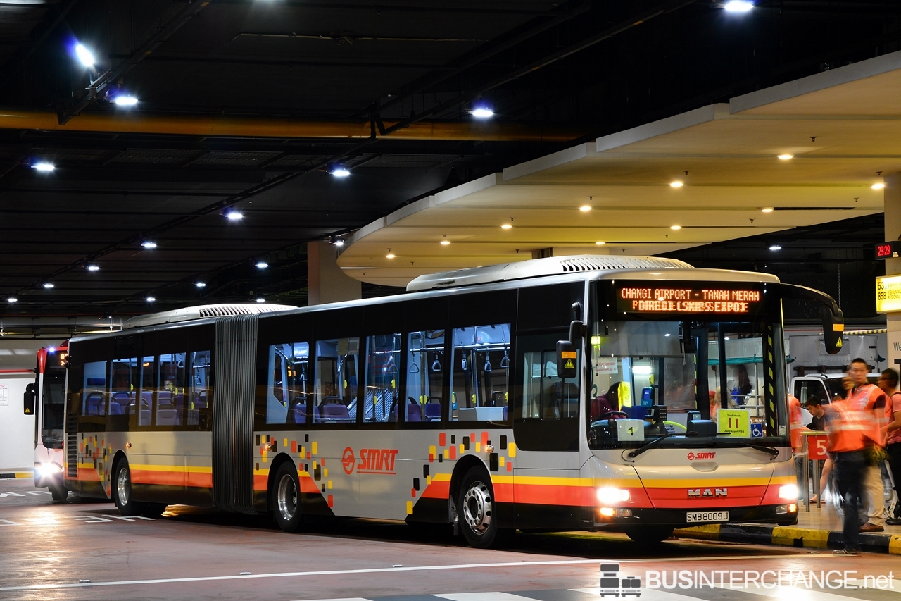 MAN NG363F (A24) (SMB8009J - Changi Airport to Tanah Merah Parallel Bus Service)