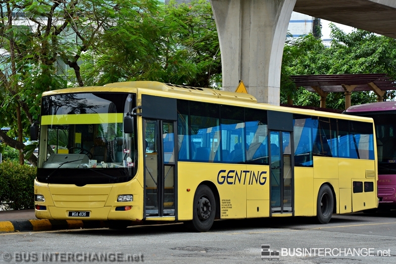Wga4136 Genting Scania L113crl Bus Interchange