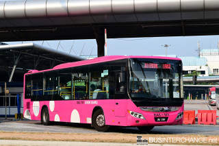 JWJ2361 - J13