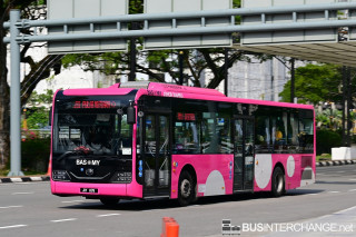 JXY6178 - J31