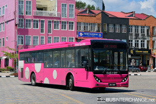JYN3397 - J50