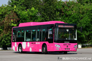 MDV4619 - M100