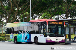 SBS6052L - 655