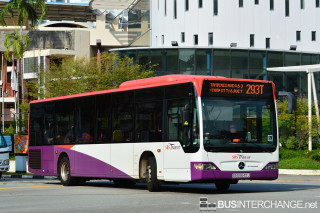 SBS6642J - 293T