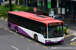 SBS6684M - 230