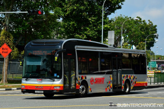 SG1706D - 171