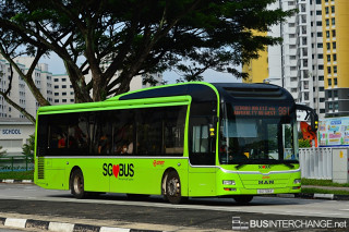 SG1734Y - 981