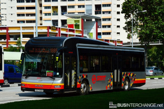 SG1746M - 188R