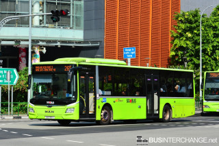 SG1751Y - 265