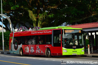 SG1765H - 30