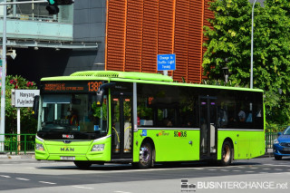SG1817S - 138A