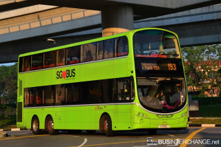 SG5482Y - 193