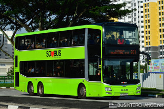 SG5875Y - 981