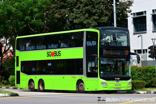 SG6063S - 37