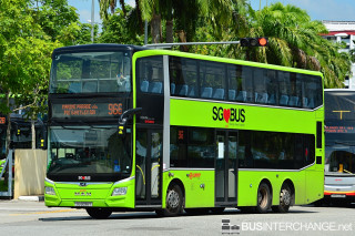 SG6096Y - 966