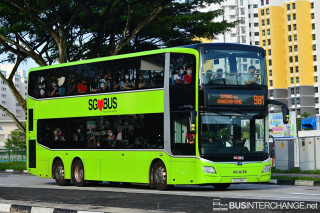 SG6138K - 981