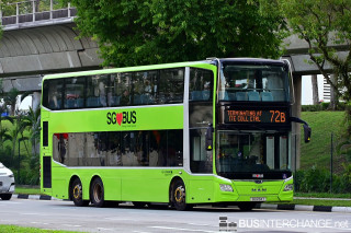 SG6194Y - 72B