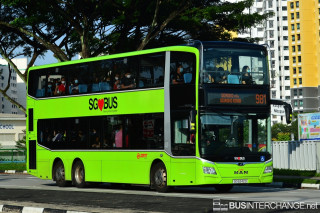 SG6242S - 981