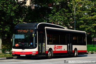 SMB1306Y - 308