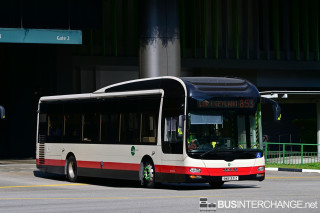SMB1331Z - 853