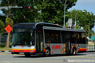 SMB1505P - 171