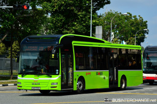 SMB1506L - 854