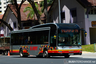 SMB1574P - 176