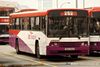 Thumbnail: SBS1784R — Historical archive of a Volvo B10M Mark II (Walter Alexander PS) single-deck bus operating on service 252 under SBS Transit. Photographed in October 2007, buses of this model type have since been completely retired from passenger service.