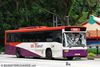Thumbnail: SBS1900Y — Historical archive of a Volvo B10M Mark IV (Walter Alexander Strider) single-deck bus operating on service 100 under SBS Transit. Buses of this model type have since been completely retired from passenger service.