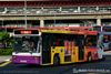 Thumbnail: SBS1930K — Historical archive of a Volvo B10M Mark IV (Walter Alexander Strider) single-deck bus operating on service 66 under SBS Transit. Photographed in January 2014, buses of this model type have since been completely retired from passenger service.