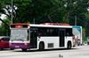 Thumbnail: SBS1941D — Historical archive of a Volvo B10M Mark IV (Walter Alexander Strider) single-deck bus operating on service 11 under SBS Transit. Photographed in November 2014, buses of this model type have since been completely retired from passenger service.