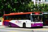 Thumbnail: SBS1951A — Historical archive of a Volvo B10M Mark IV (Walter Alexander Strider) single-deck bus operating on service 31 under SBS Transit. Photographed in May 2014, buses of this model type have since been completely retired from passenger service.