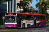 Thumbnail: SBS2622T — Historical archive of a Volvo B10M Mark IV (Walter Alexander Strider) single-deck bus operating on service 8 under SBS Transit. Photographed in February 2015, buses of this model type have since been completely retired from passenger service.