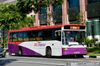 Thumbnail: SBS2645C — Historical archive of a Volvo B10M Mark IV (Walter Alexander Strider) single-deck bus operating on service 3A under SBS Transit. Photographed in June 2014, buses of this model type have since been completely retired from passenger service.