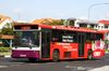 Thumbnail: SBS2668L — Historical archive of a Volvo B10M Mark IV (Walter Alexander Strider) single-deck bus operating on service 103 under SBS Transit. Photographed in November 2012, buses of this model type have since been completely retired from passenger service.